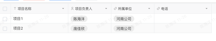 项目表